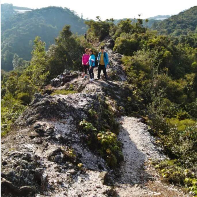Serene Mossy Family * Cameron Highlands